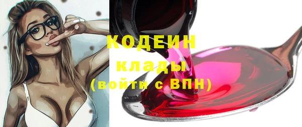 индика Белоозёрский