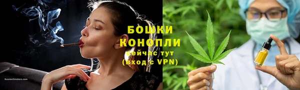 ECSTASY Шали