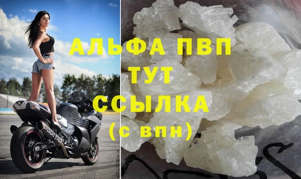 индика Белоозёрский